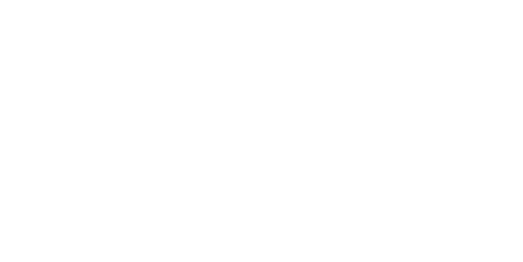 Chino Valley Logo White