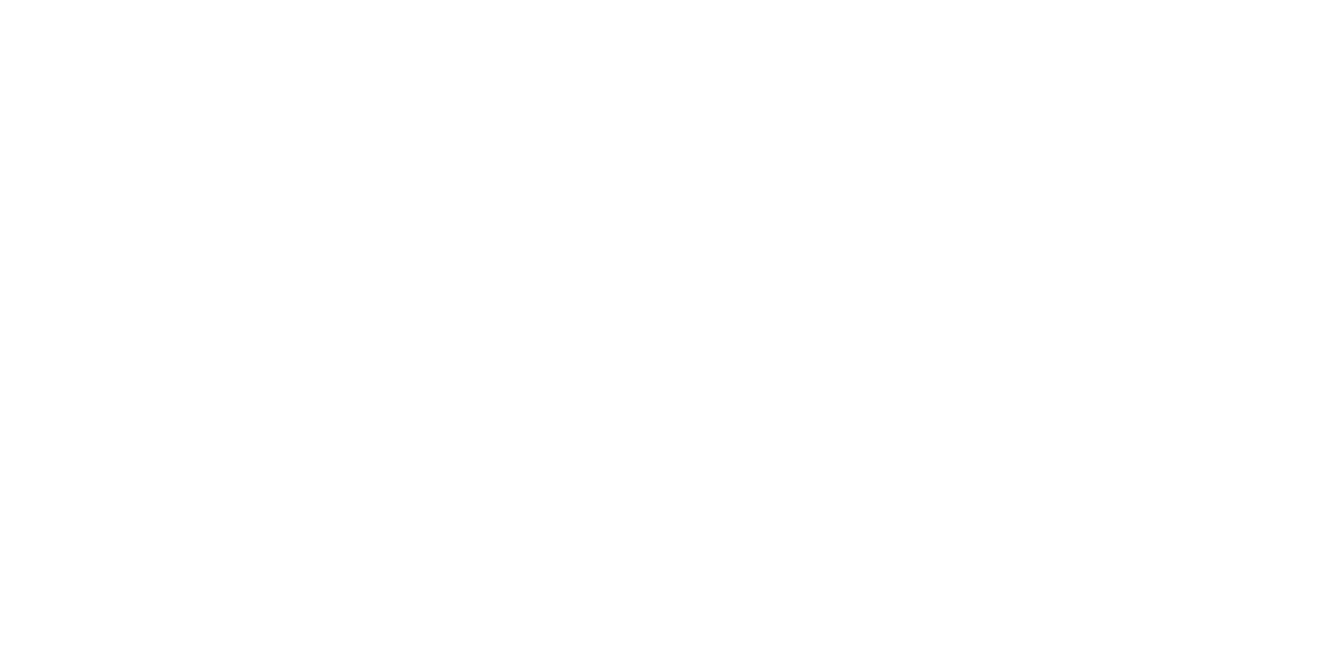 Chino Valley Logo White