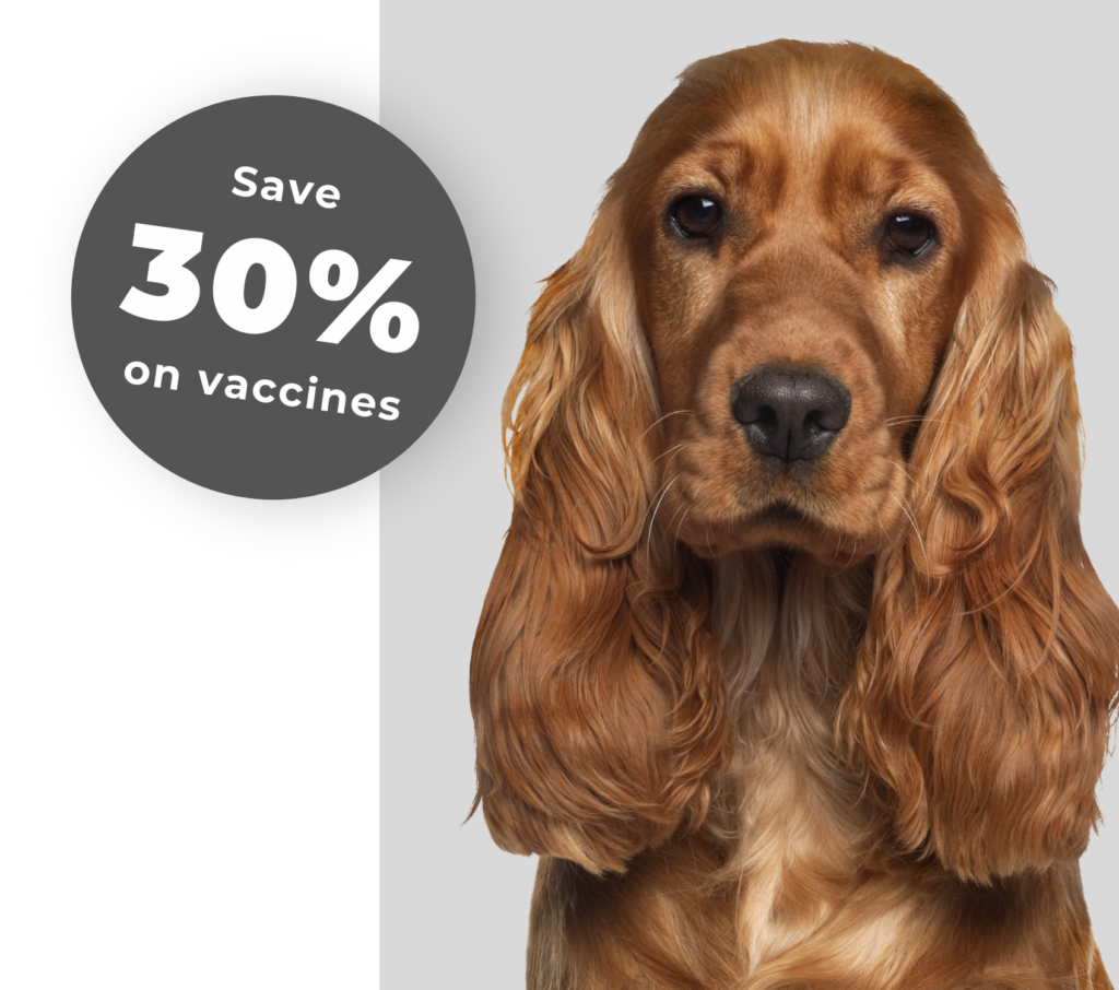 image stating save 30 percent on vaccines