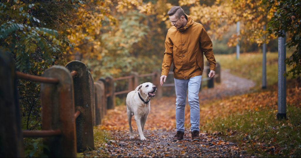 dog walking with male owner along an outdoor trail